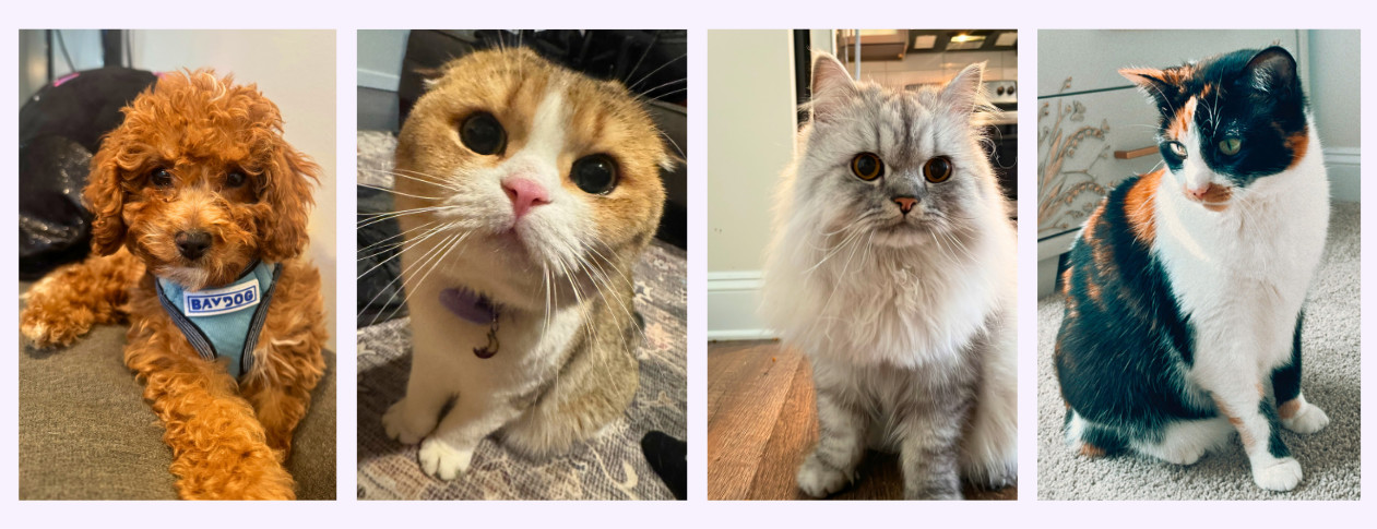 ZKPets